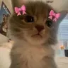 ILY