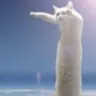 LONG