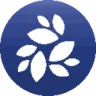 NKN