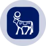 NVOON