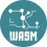 ZKWASM